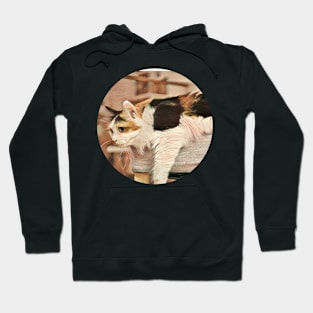 Fun floppy cat Hoodie